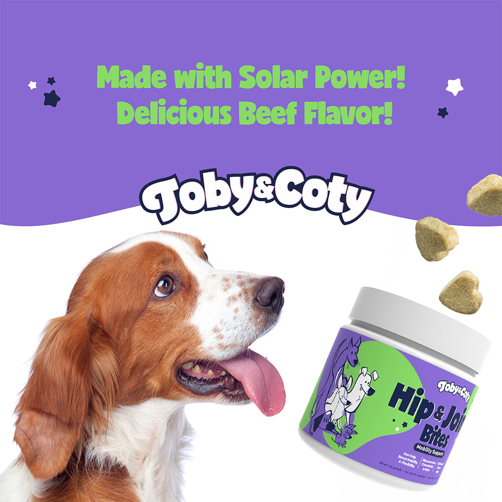 Hip & Joints Bites